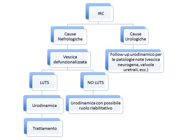 grafico-trapianto-renale-urodinamica-limarzi