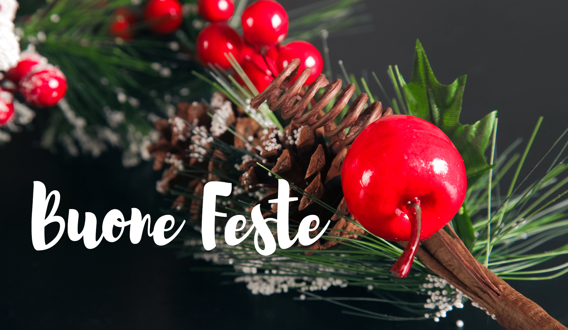 Buone feste da SIUD