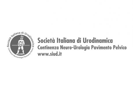 SIUD logo grigio