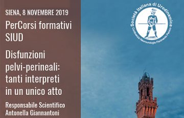 Disfunzioni pelvi-perineali corso Disfunzioni pelvi-perineali corso